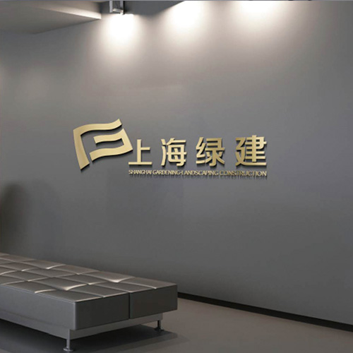 案例展示二